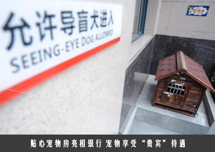 贴心宠物房亮相银行 
