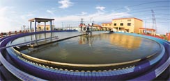 商务楼生化污水处理系统装置运作规程