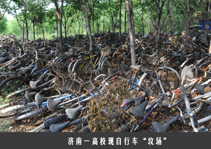 济南一高校现自行车“坟场”