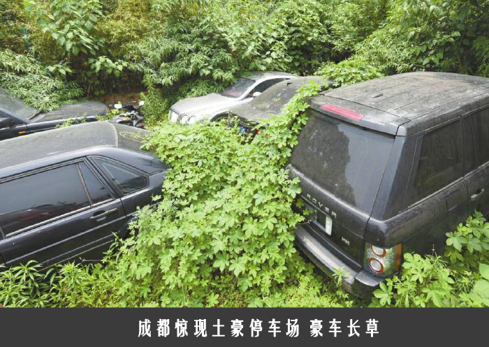 成都惊现土豪停车场 豪车长草