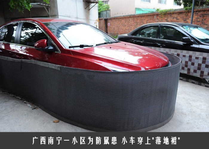 广西南宁一小区为防鼠患 小车穿上＂落地裙＂