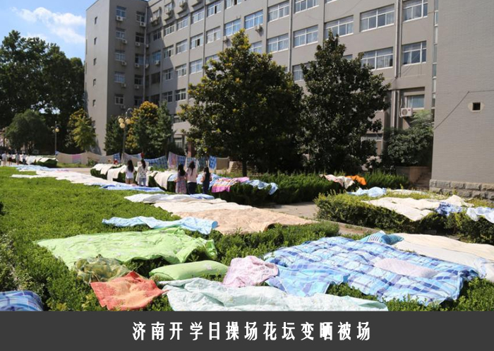 济南开学日操场花坛变晒被场