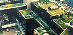 模块组合式屋顶绿化新技术