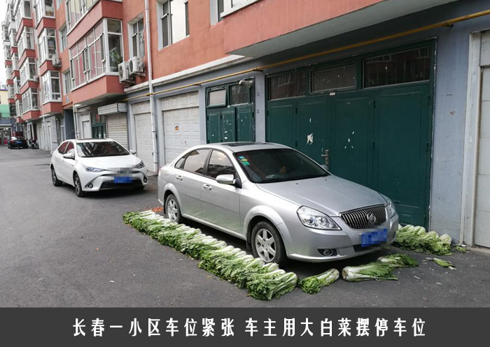 长春一小区车位紧张 车主用大白菜摆停车位