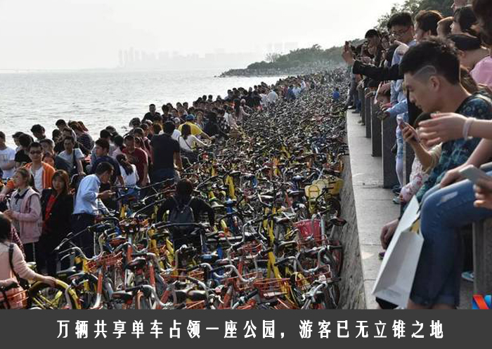 万辆共享单车占领一座公园，游客已无立锥之地